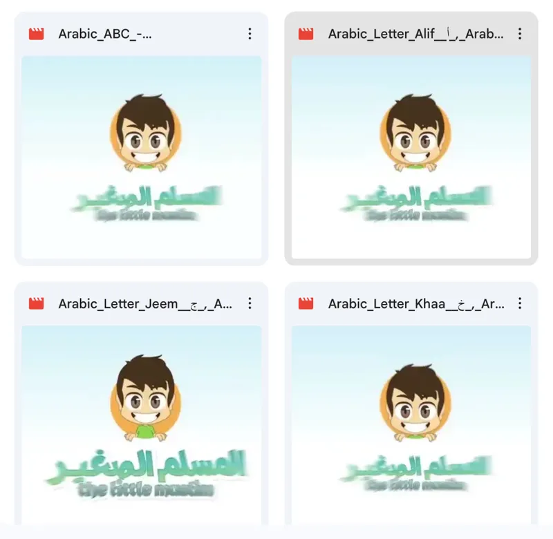 Aperçu des épisodes The Little Muslim